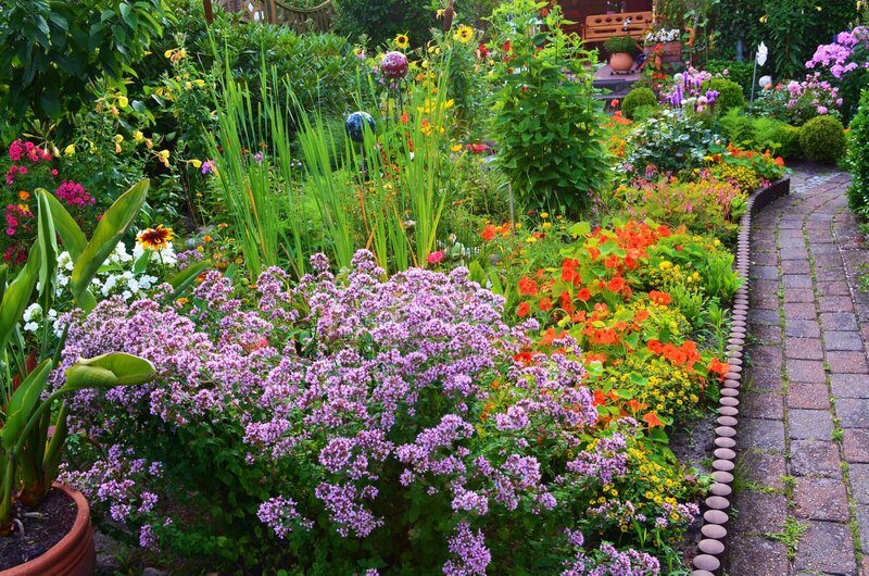 Colorful Garden with Flowers — Purple