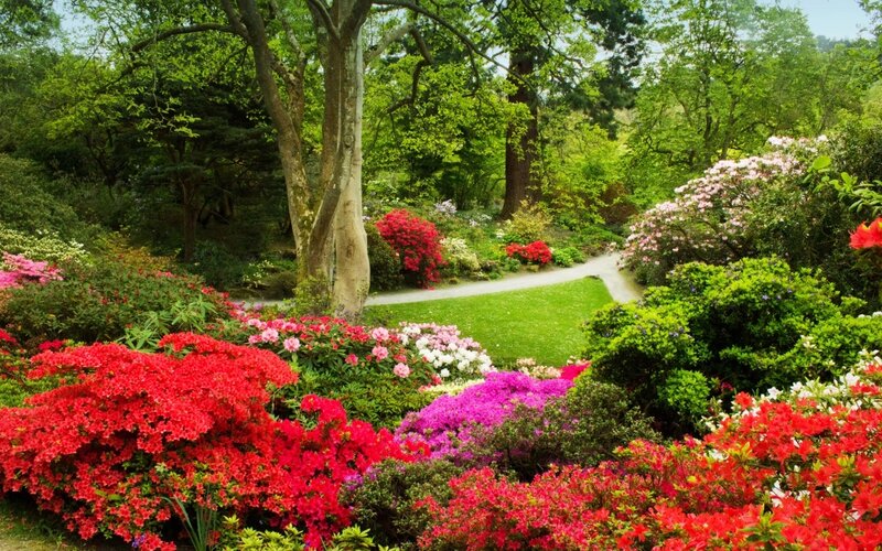 Colorful Garden with Flowers — Red