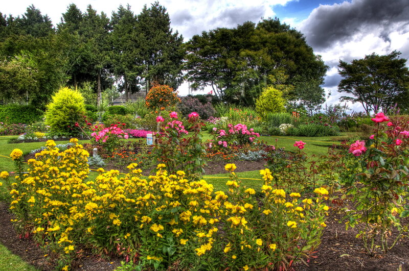 Colorful Garden with Flowers — Yellow