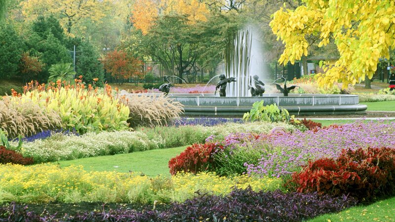 Colorful garden with fountain