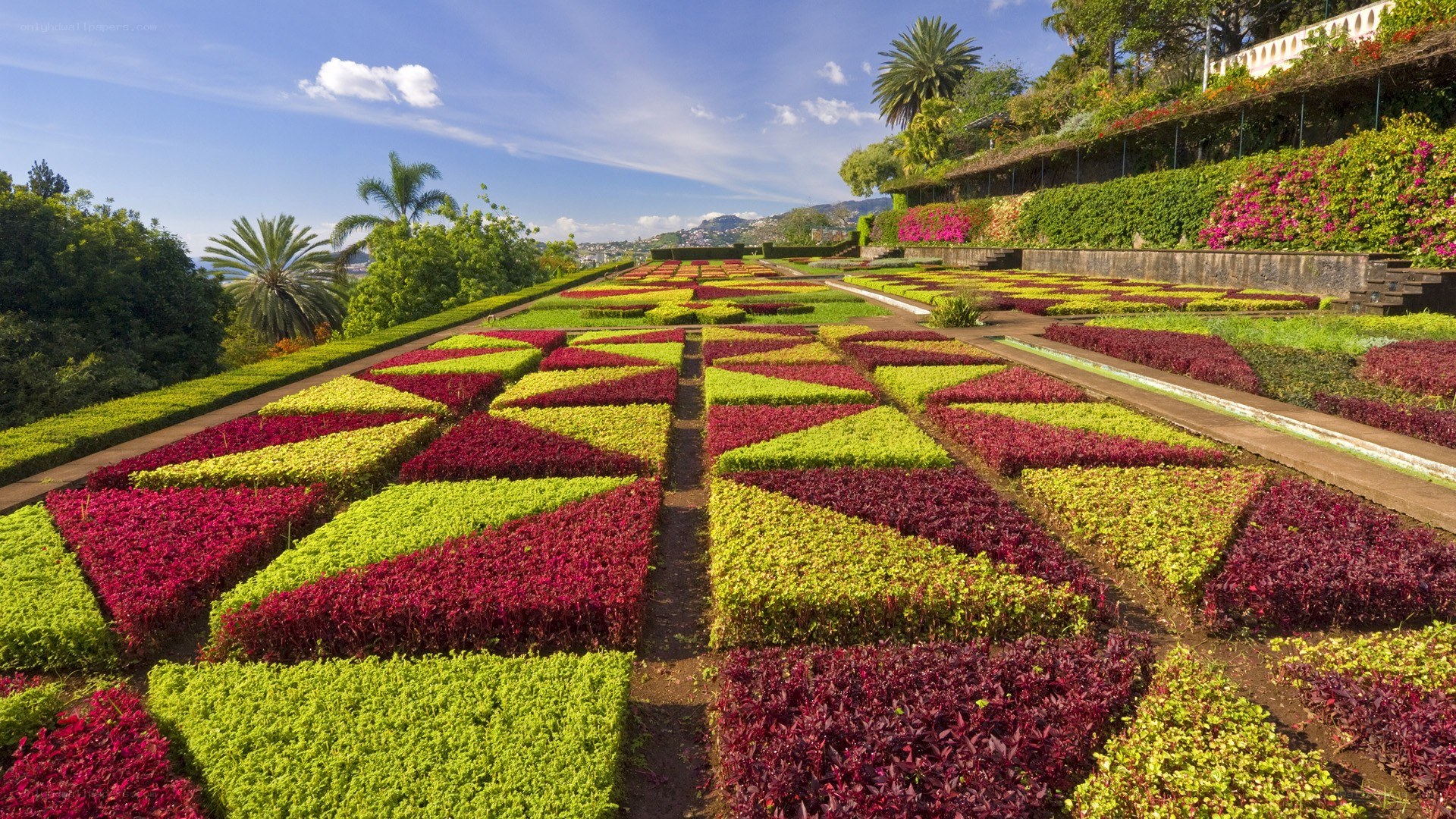 Colorful garden with geometric patterns