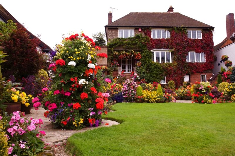 Colorful Garden with House