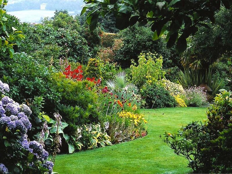 Colorful Garden with Lawn — Green, Serene, Afternoon, Photograph, Flowers, Shrubs
