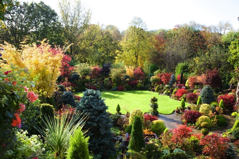 Colorful Garden with Lawn — Green, Serene, Autumn