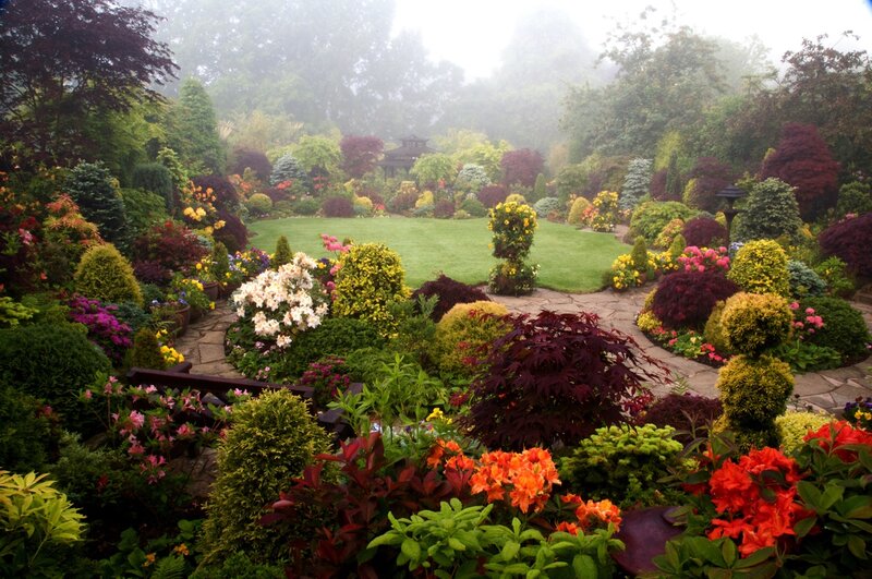 Colorful Garden with Lawn — Green, Serene, Morning