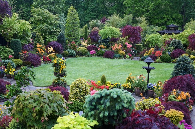 Colorful Garden with Lawn — Green