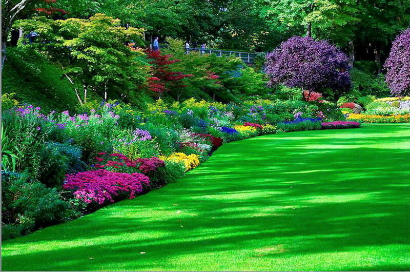 Colorful Garden with Lawn
