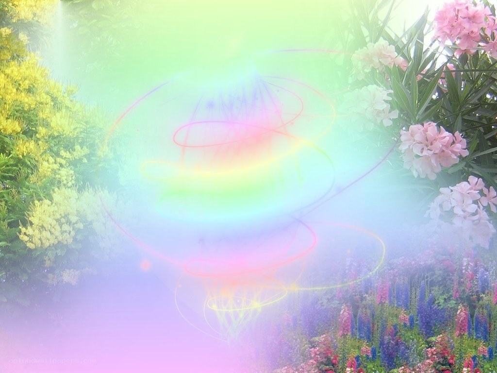 Colorful garden with light effects