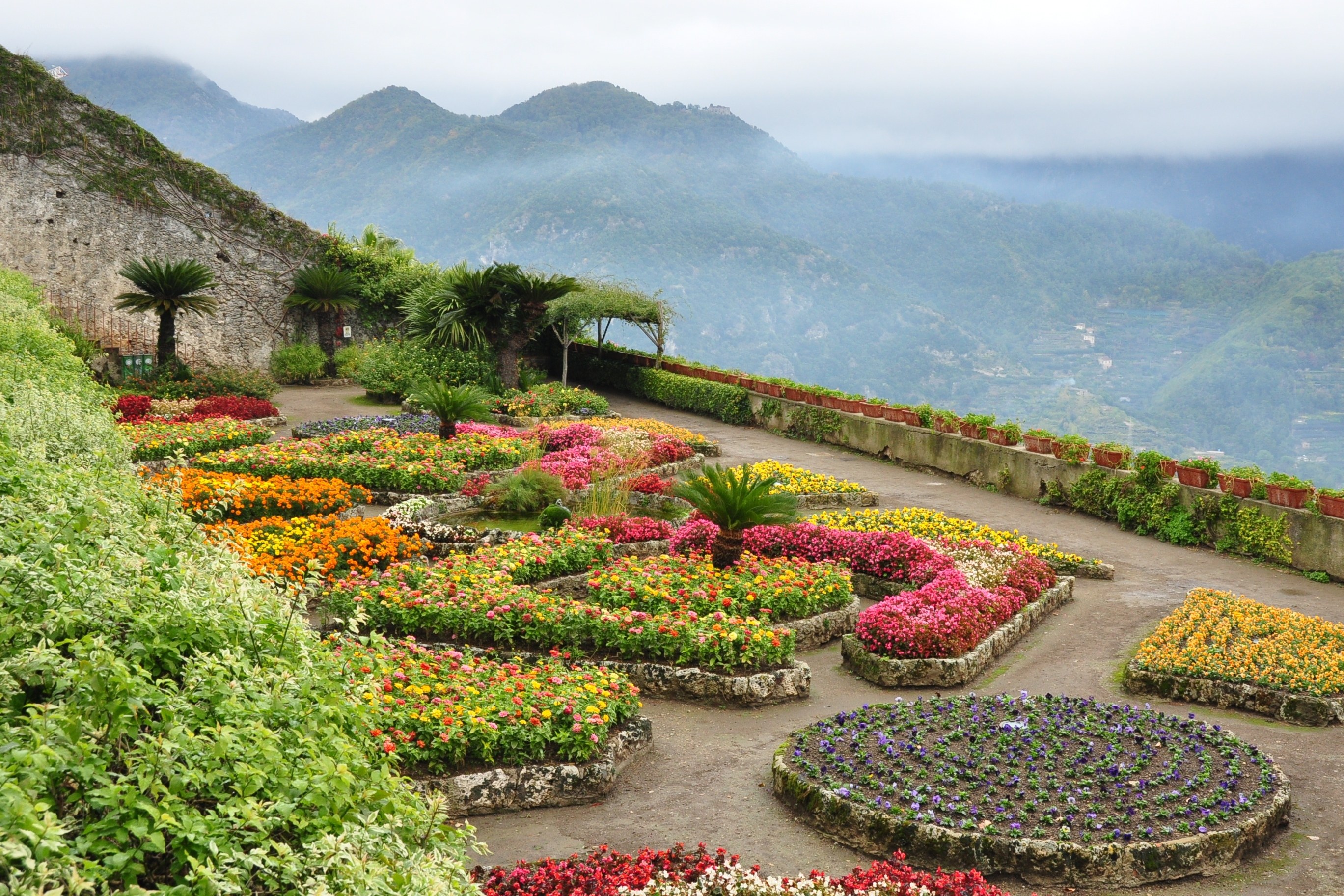 Colorful garden with mountain view