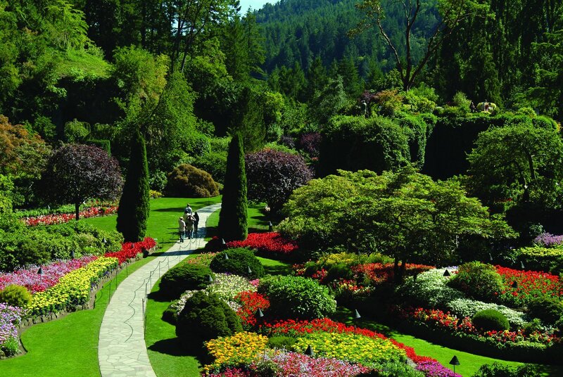 Colorful Garden with People