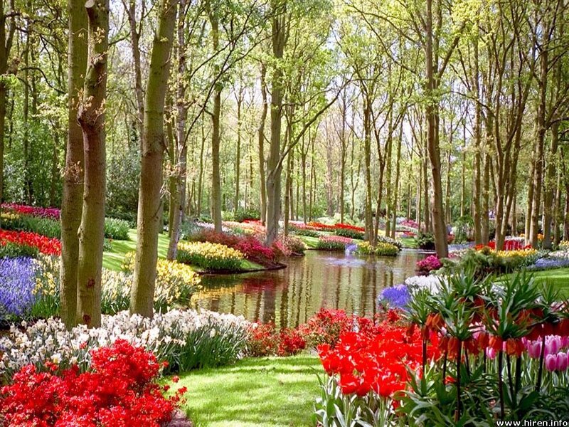 Colorful garden with pond