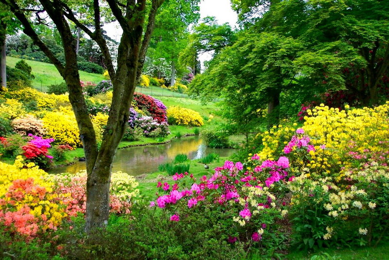 Colorful Garden with Pond — Green, Serene, Spring