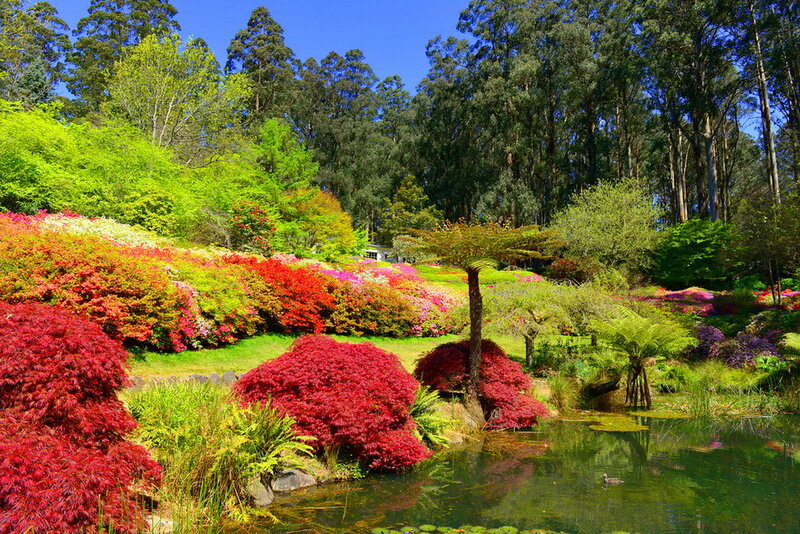 Colorful Garden with Pond — Red, Serene