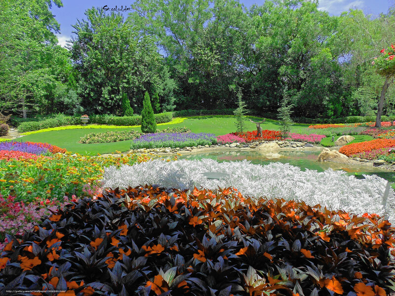 Colorful garden with pond