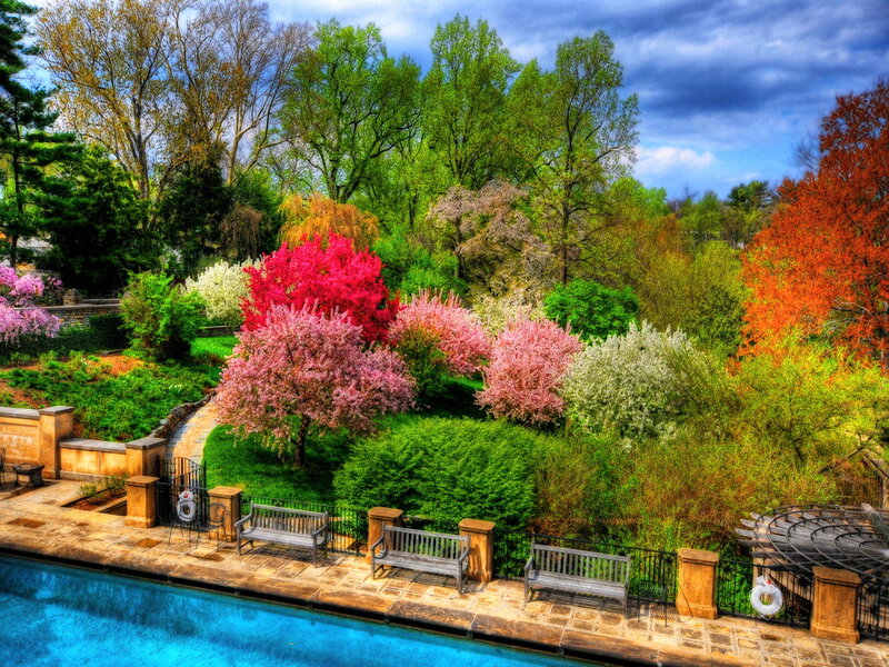 Colorful Garden with Pool
