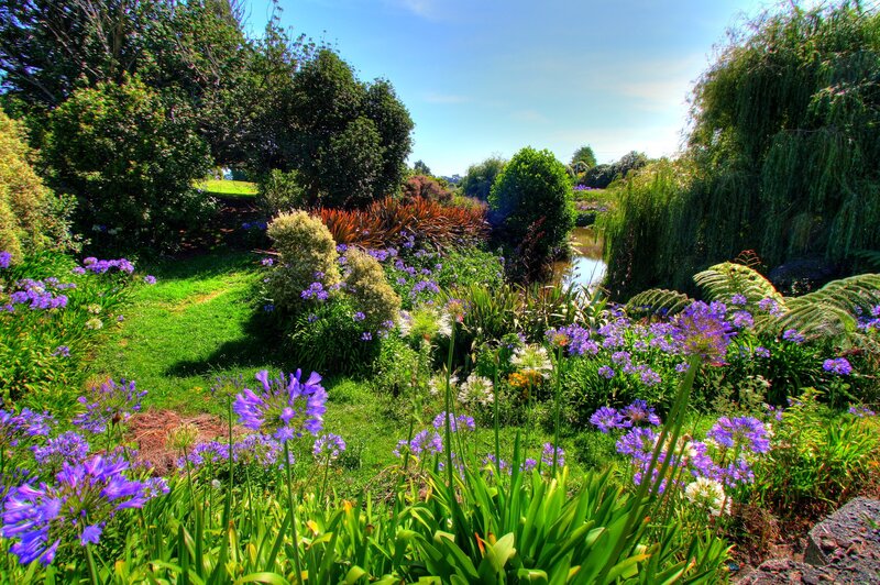 Colorful garden with purple flowers
