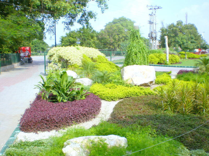 colorful garden with rocks and plants