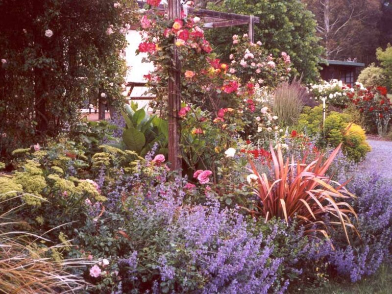 colorful garden with roses and flowers