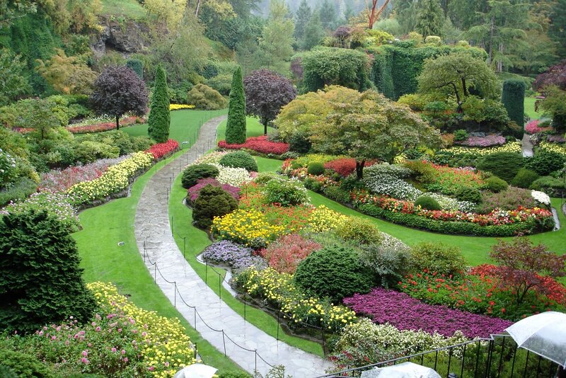 Colorful Garden with Stone Path — Green, Serene