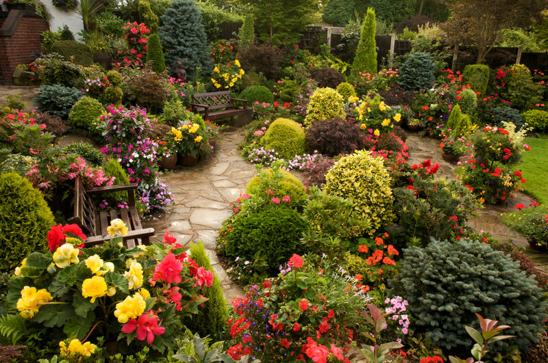 Colorful Garden with Stone Path — Green