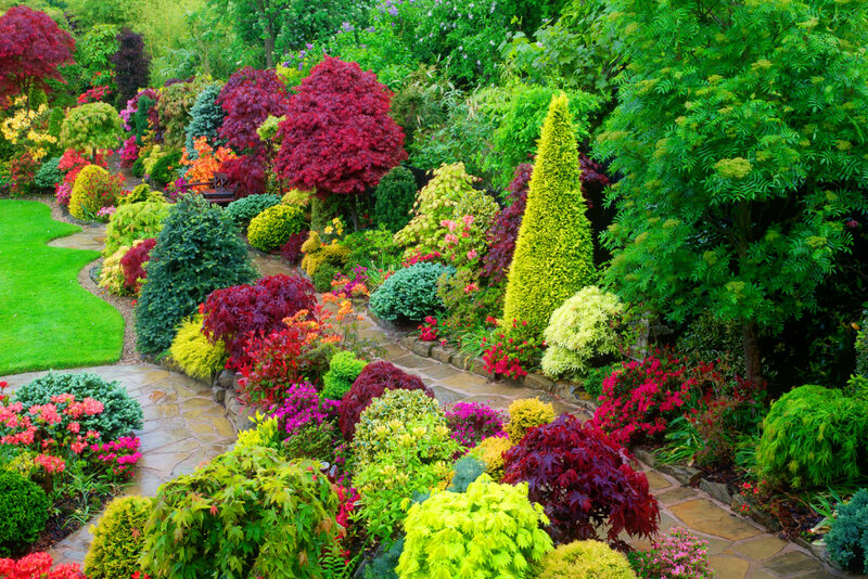 Colorful Garden with Stone Path — Green, Vibrant