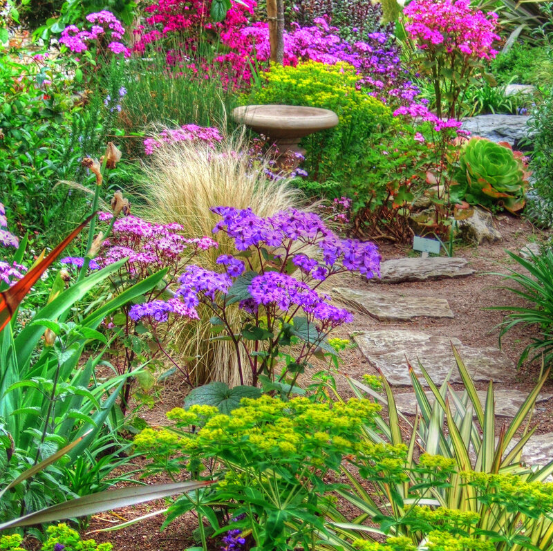 Colorful Garden with Stone Path — Purple