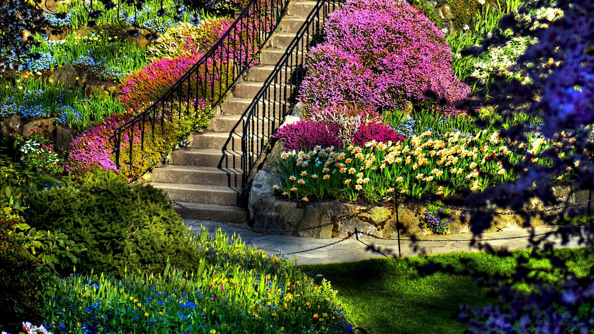 Colorful garden with stone stairs