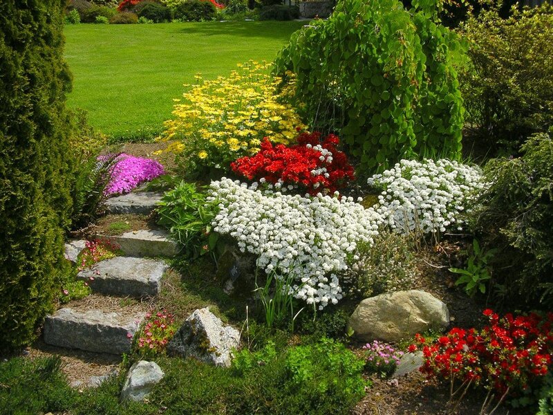 Colorful garden with stone steps