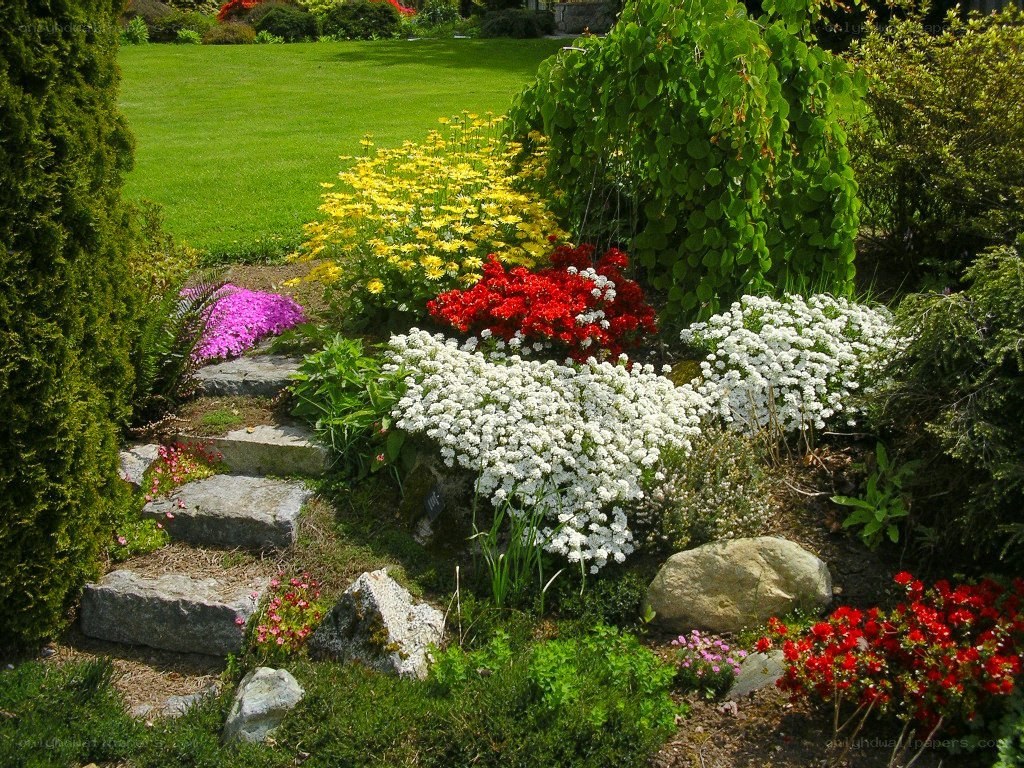 Colorful garden with stone steps
