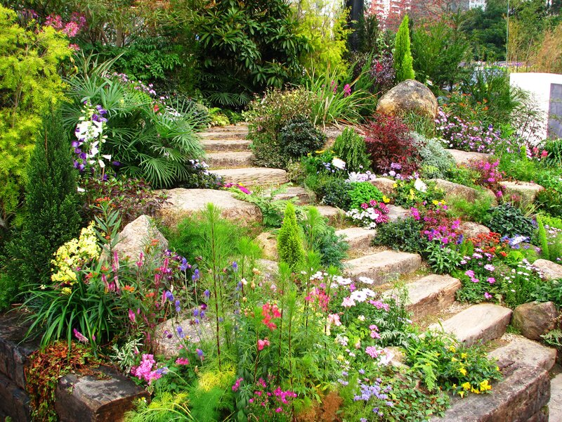 Colorful Garden with Stone Steps — Green, Serene, Afternoon, Photograph