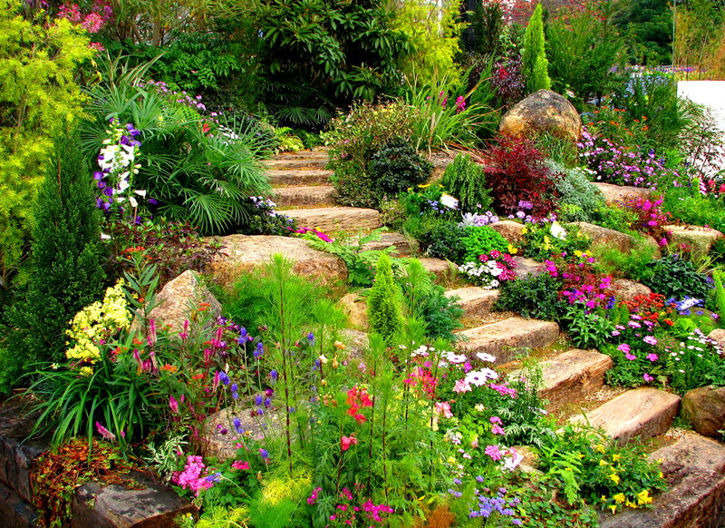 Colorful Garden with Stone Steps — Green, Serene