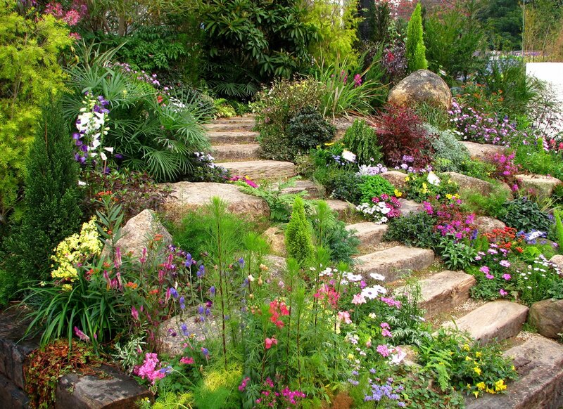 Colorful garden with stone steps