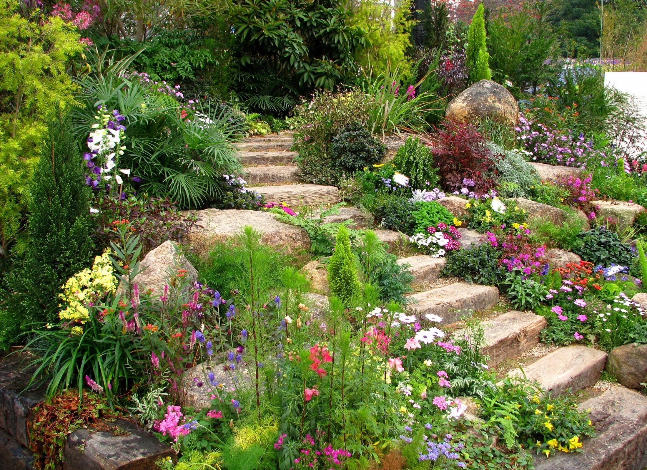 Colorful garden with stone steps