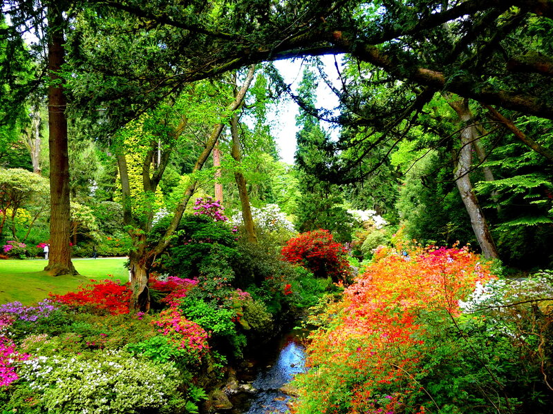 Colorful Garden with Stream