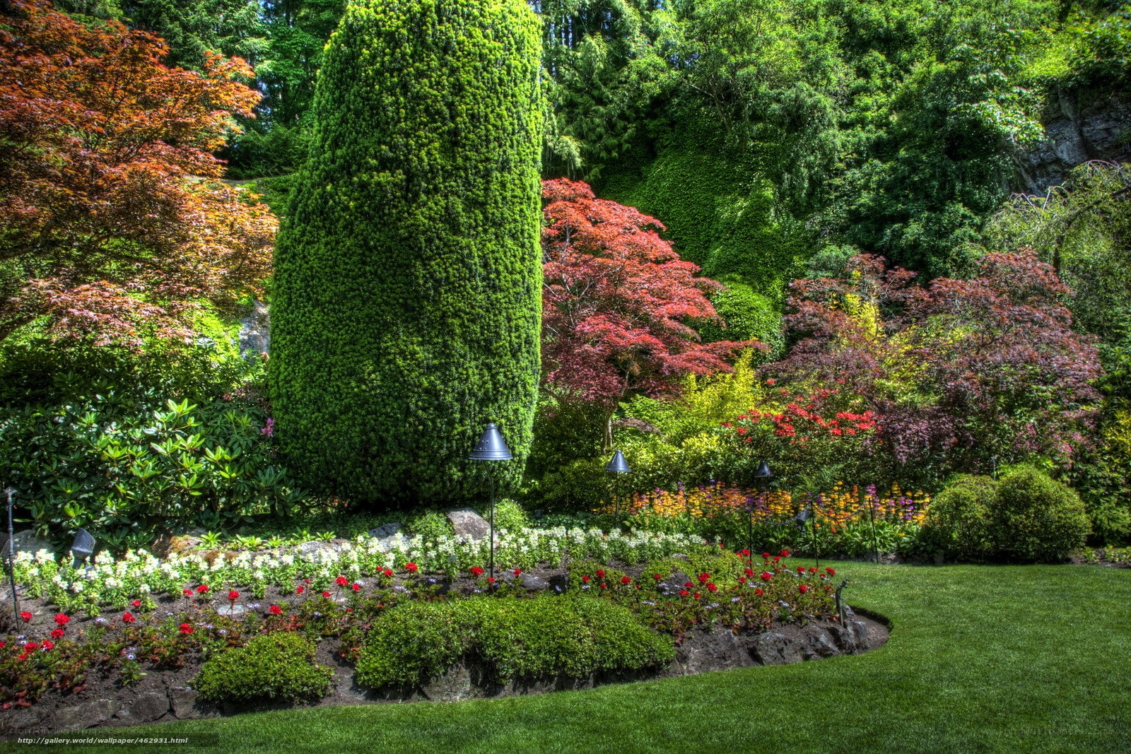 Colorful garden with topiary