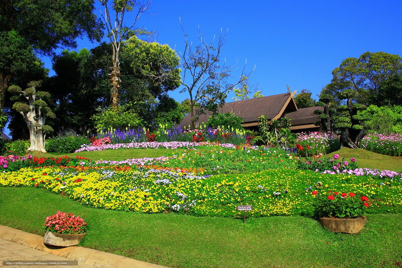 Colorful garden with traditional building