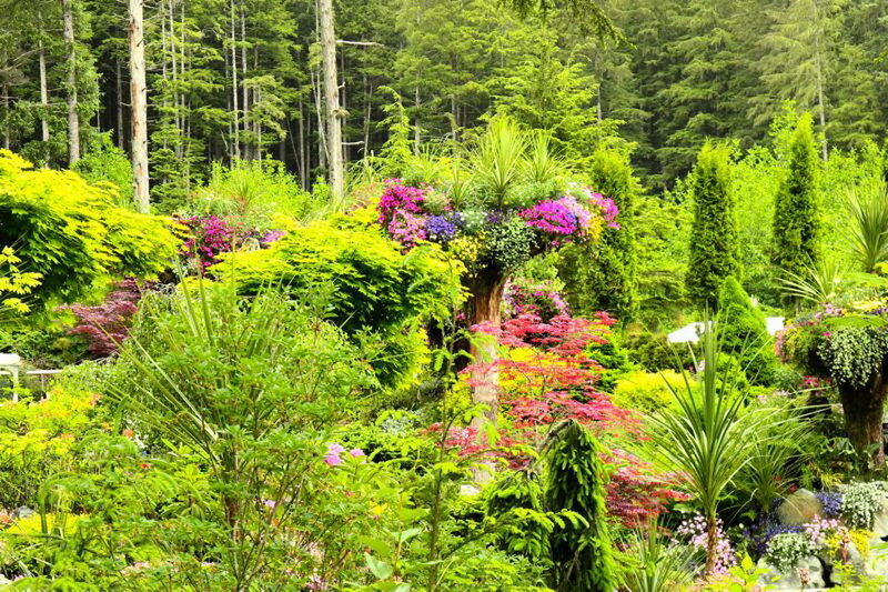 Colorful Garden with Trees