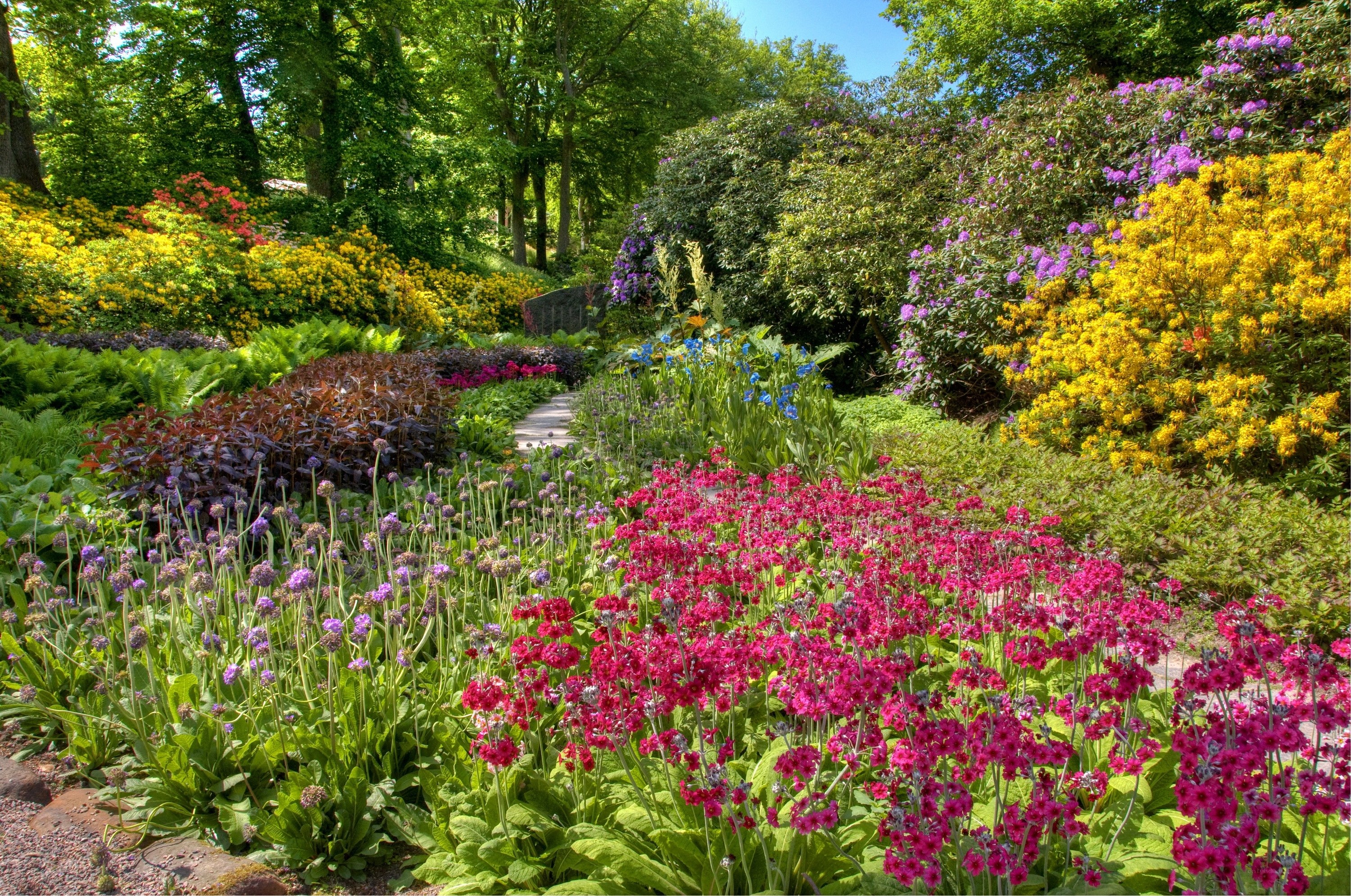 Colorful garden with vibrant flowers