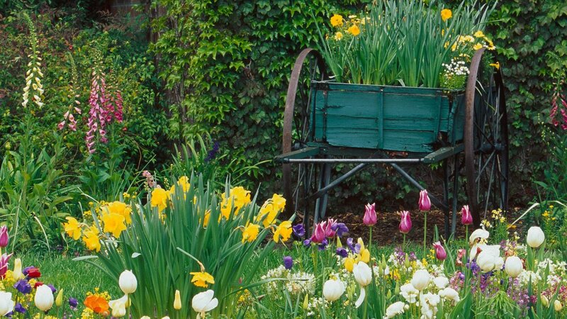 Colorful garden with vintage wagon