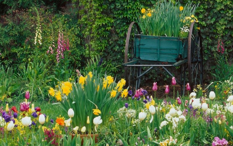 Colorful Garden with Wagon — Green