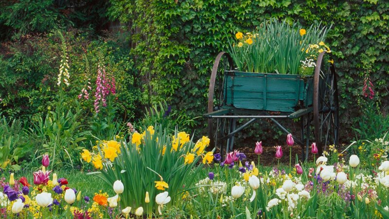 colorful garden with wagon