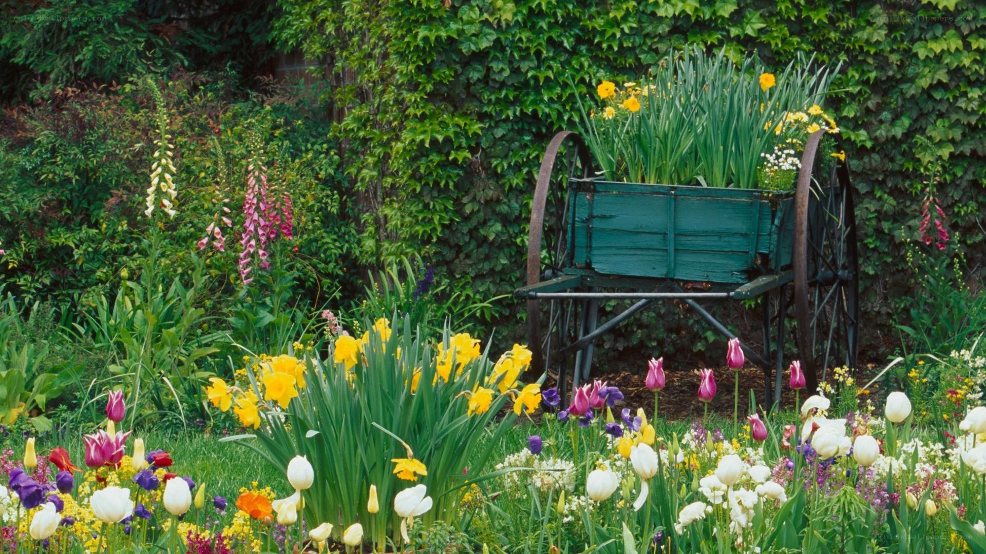 colorful garden with wagon