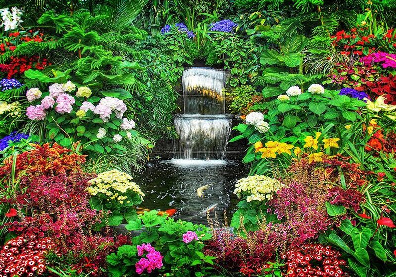 Colorful garden with waterfall