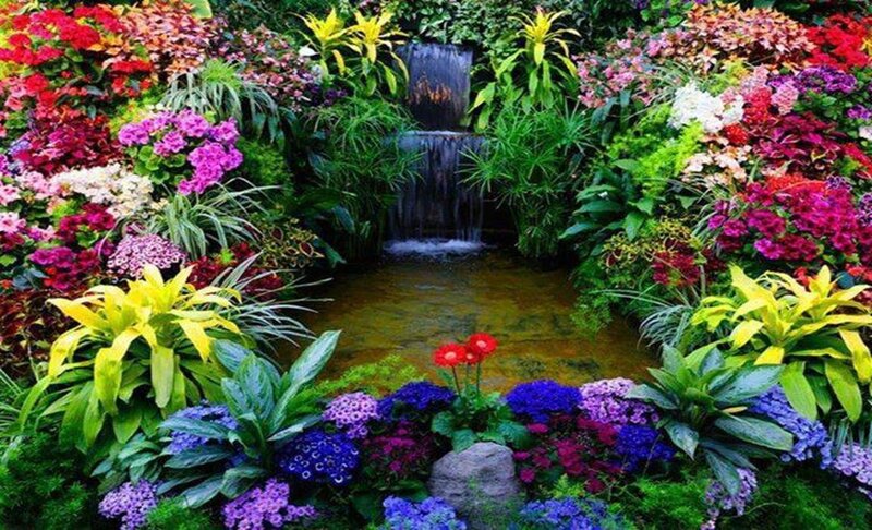 Colorful Garden with Waterfall — Green