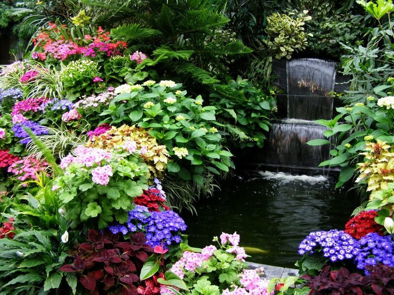 Colorful garden with waterfall