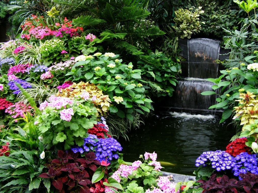Colorful garden with waterfall
