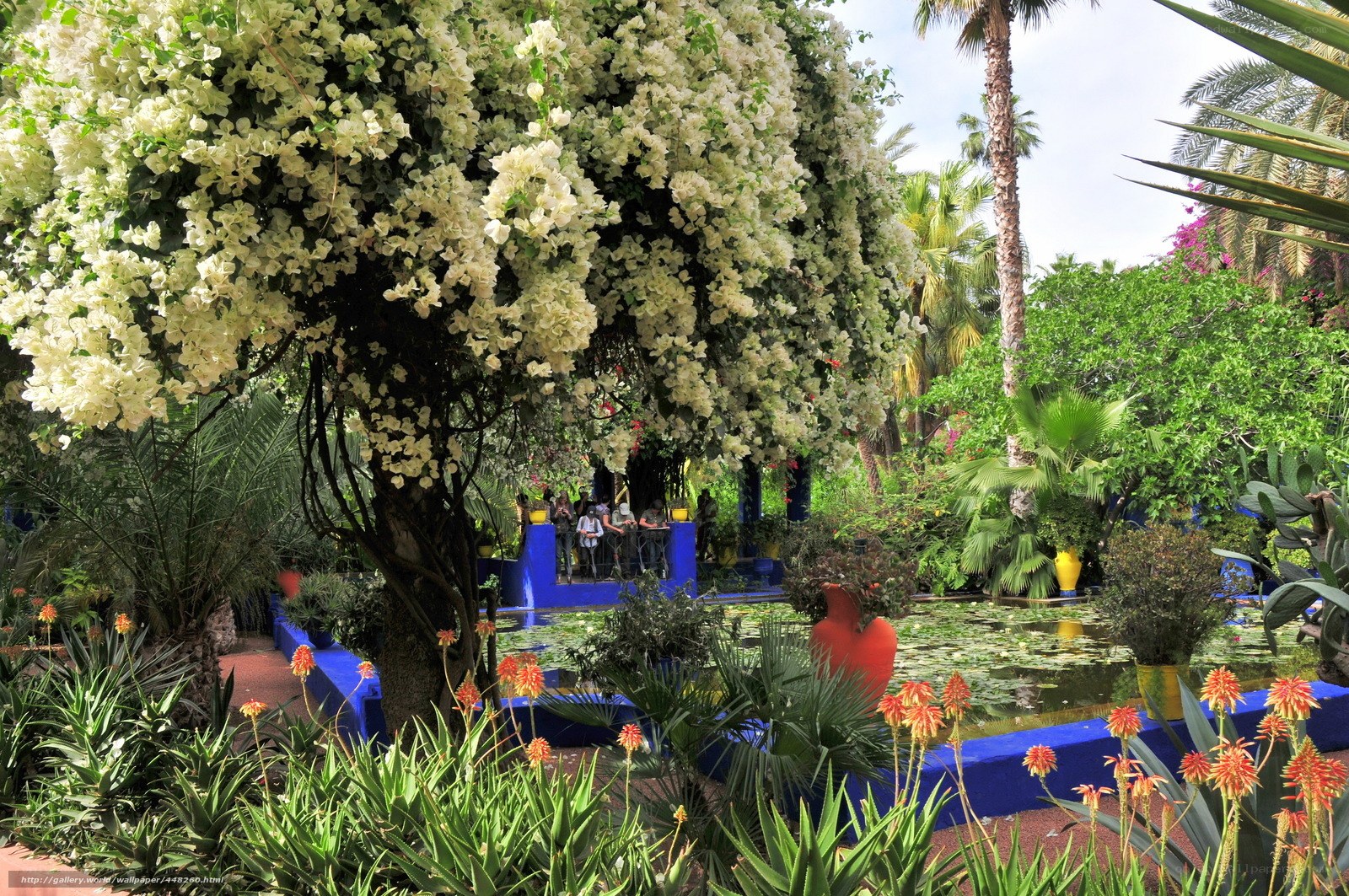 colorful garden with white flowers