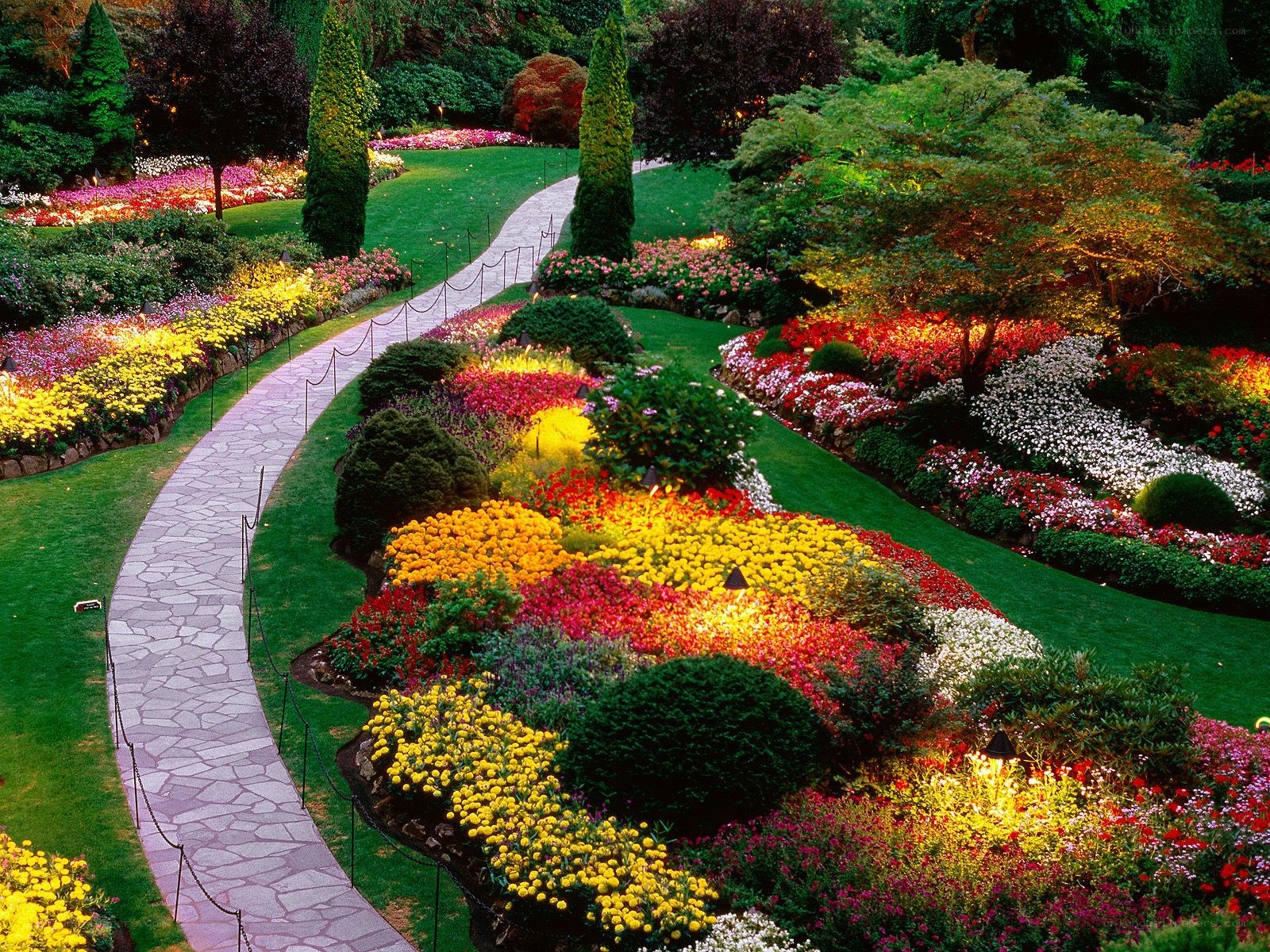 Colorful garden with winding path