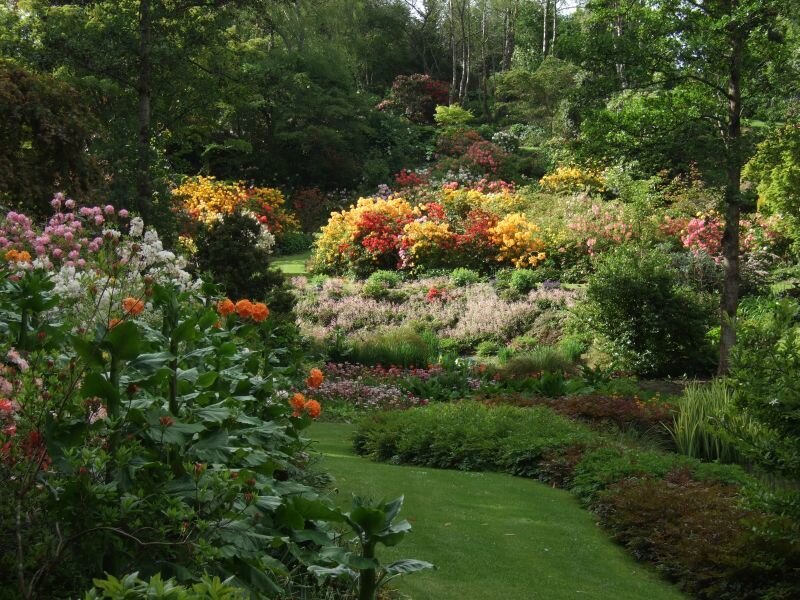 Colorful garden with winding path