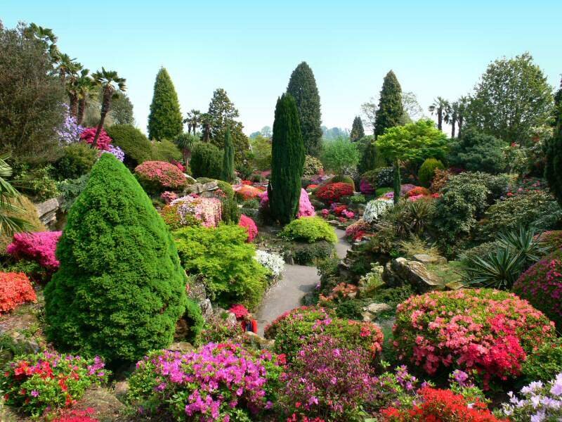 colorful garden with winding path